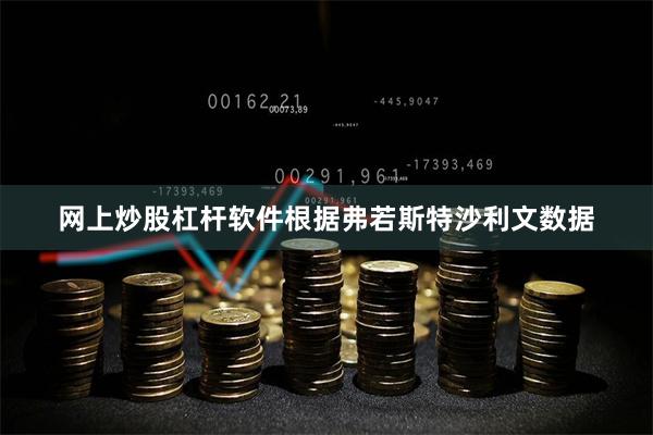 网上炒股杠杆软件根据弗若斯特沙利文数据