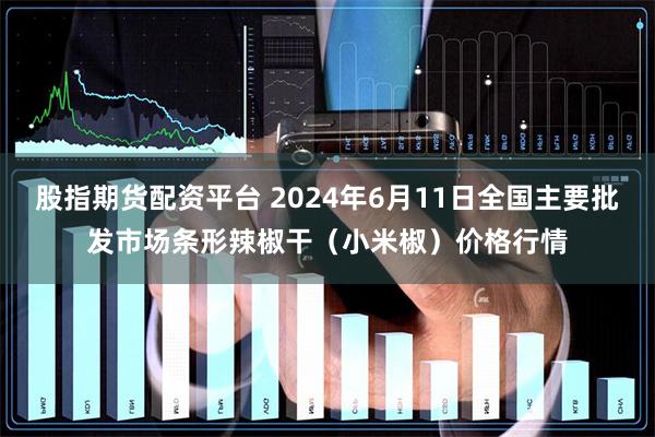 股指期货配资平台 2024年6月11日全国主要批发市场条形辣椒干（小米椒）价格行情