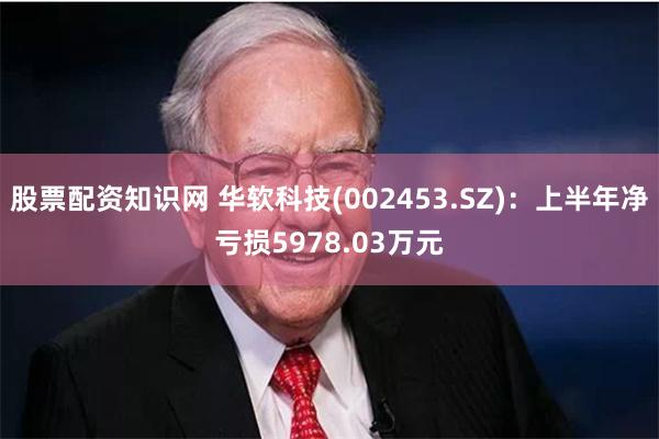 股票配资知识网 华软科技(002453.SZ)：上半年净亏损5978.03万元